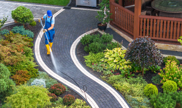 Best Residential Pressure Washing Services  in Wahneta, FL